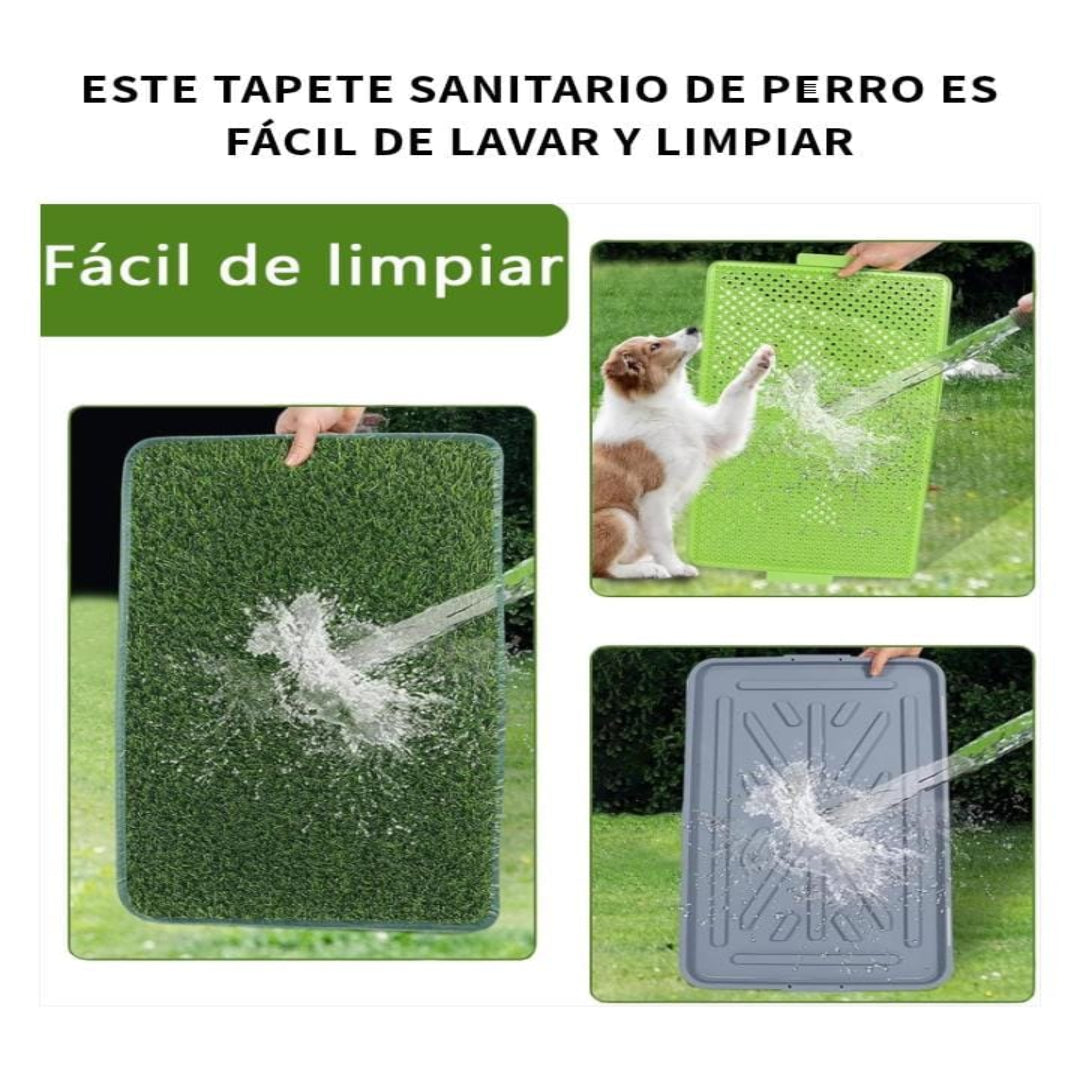 Tapete sanitario de entrenamiento para perros de todos los tamaños: tiene 3 capas y es lavable: gratis cepillo que remueve el pelo muerto