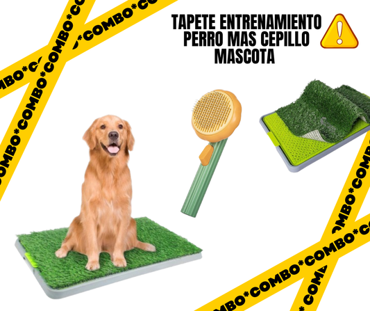 Tapete sanitario de entrenamiento para perros de todos los tamaños: tiene 3 capas y es lavable: gratis cepillo que remueve el pelo muerto