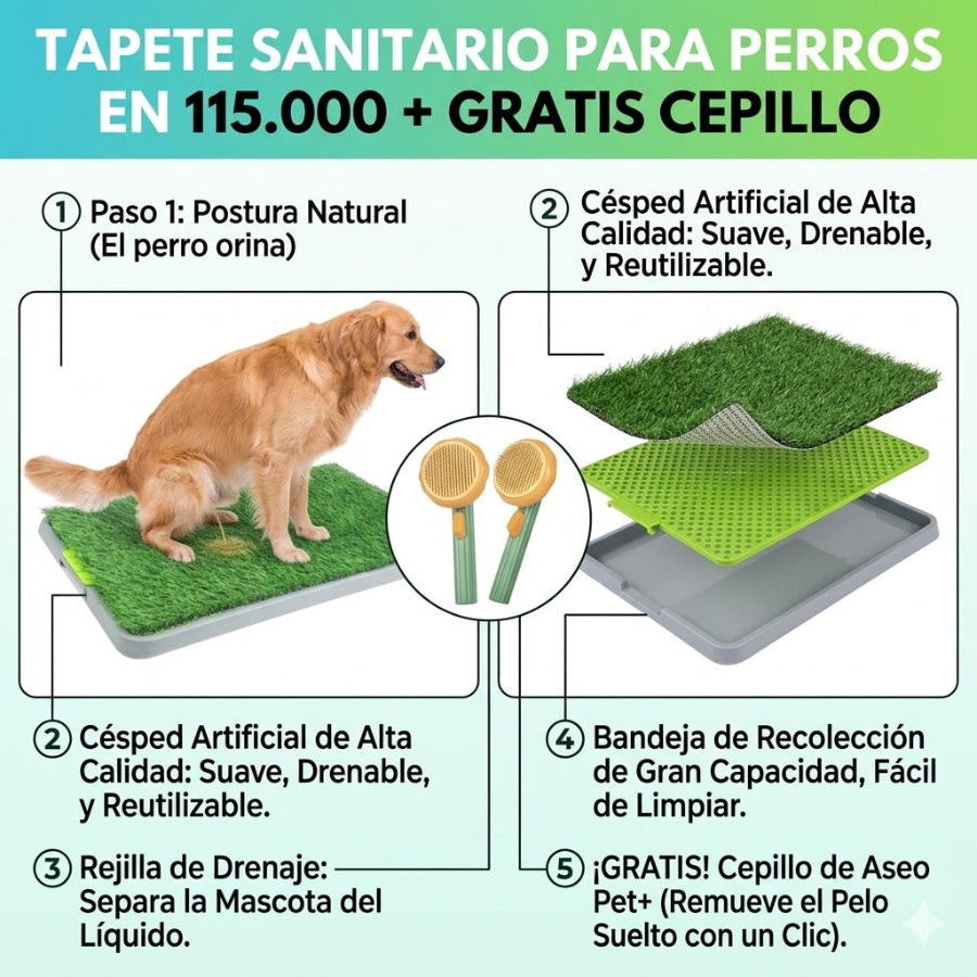 Tapete sanitario de entrenamiento para perros de todos los tamaños: tiene 3 capas y es lavable: gratis cepillo que remueve el pelo muerto