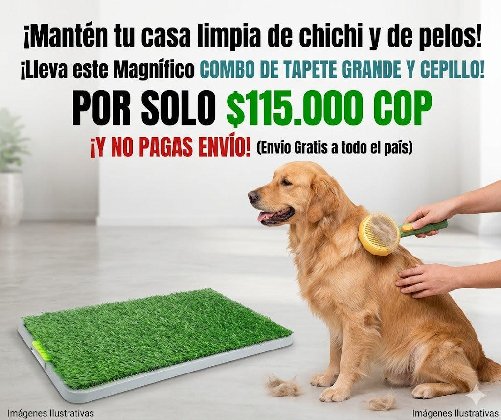 Tapete sanitario de entrenamiento para perros de todos los tamaños: tiene 3 capas y es lavable: gratis cepillo que remueve el pelo muerto