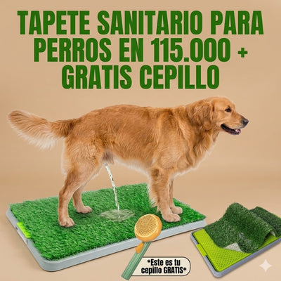 Ligero, portátil y práctico
